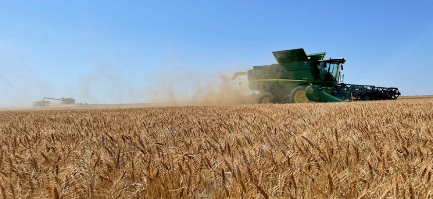 Башкирия, продажи, пшеница, Казахстан
