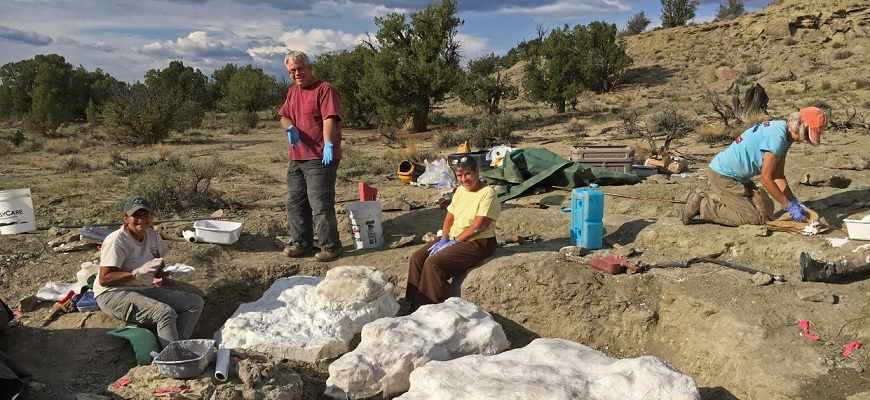 дети, нашли,