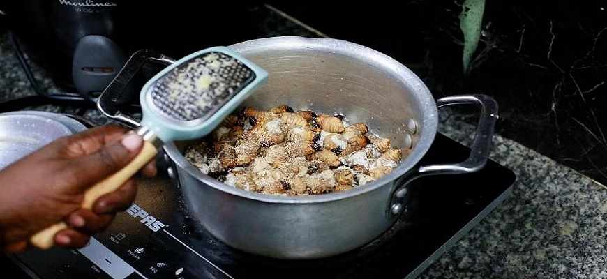 дети, Конго, личинки,